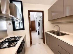 The Suites At Central (D9), Condominium #579578911